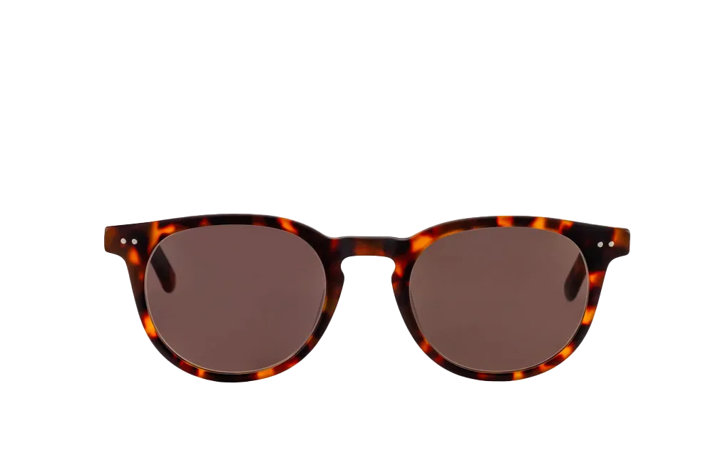 Clarke Sunglasses (Brown)
