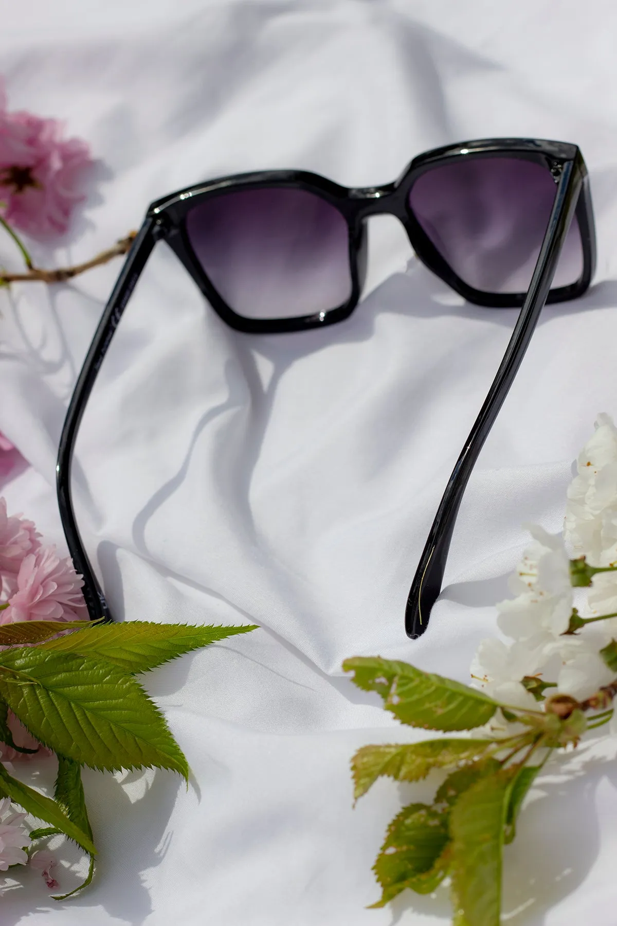 Full Lens Cat Eye Point Sunglasses