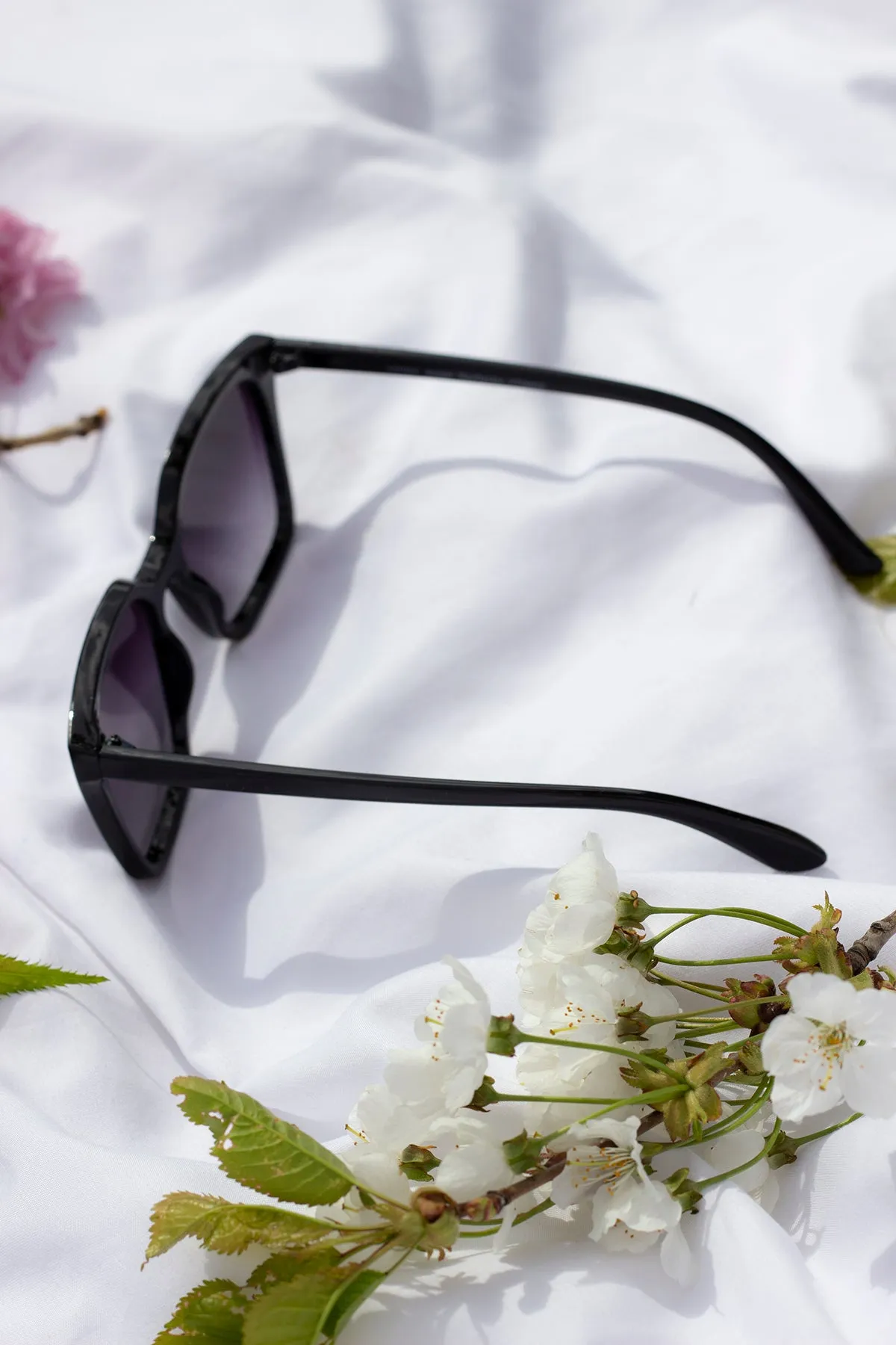 Full Lens Cat Eye Point Sunglasses