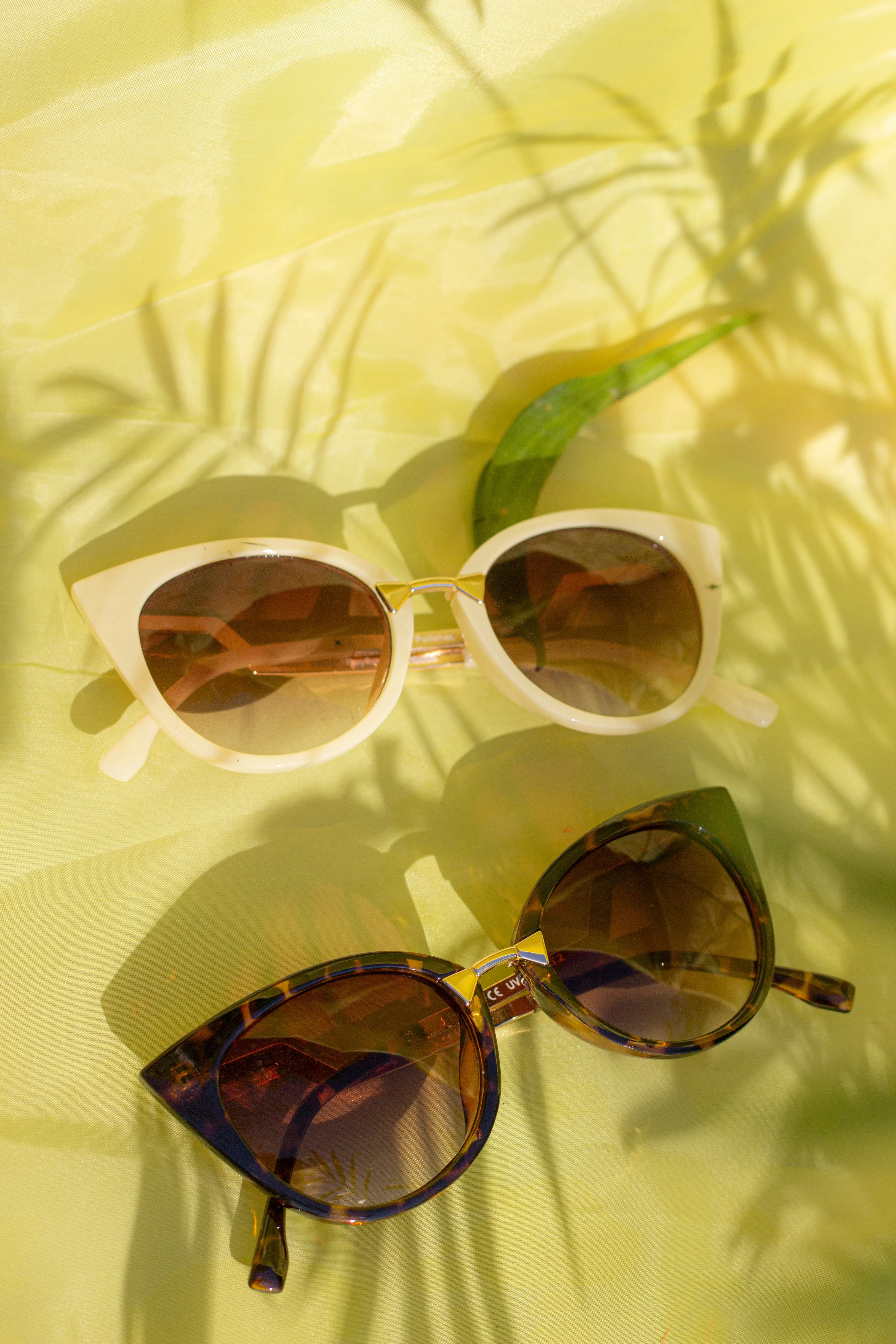 Gold Rim Cat Eye Sunglasses