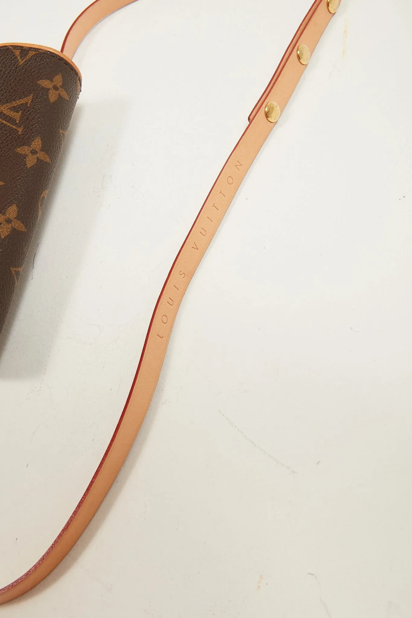 Louis Vuitton Monogram Canvas Pochette Florentine Belt Bag