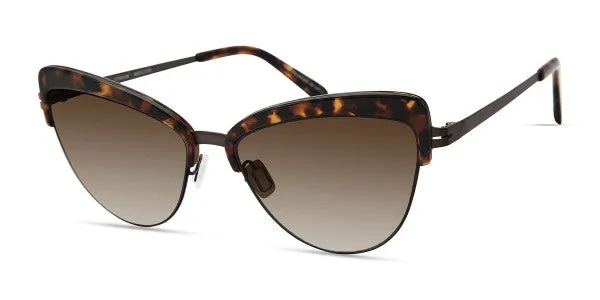 MODO Sunglasses 461