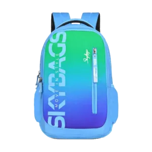 New Stream 23-06  School BP RC (H) Blue