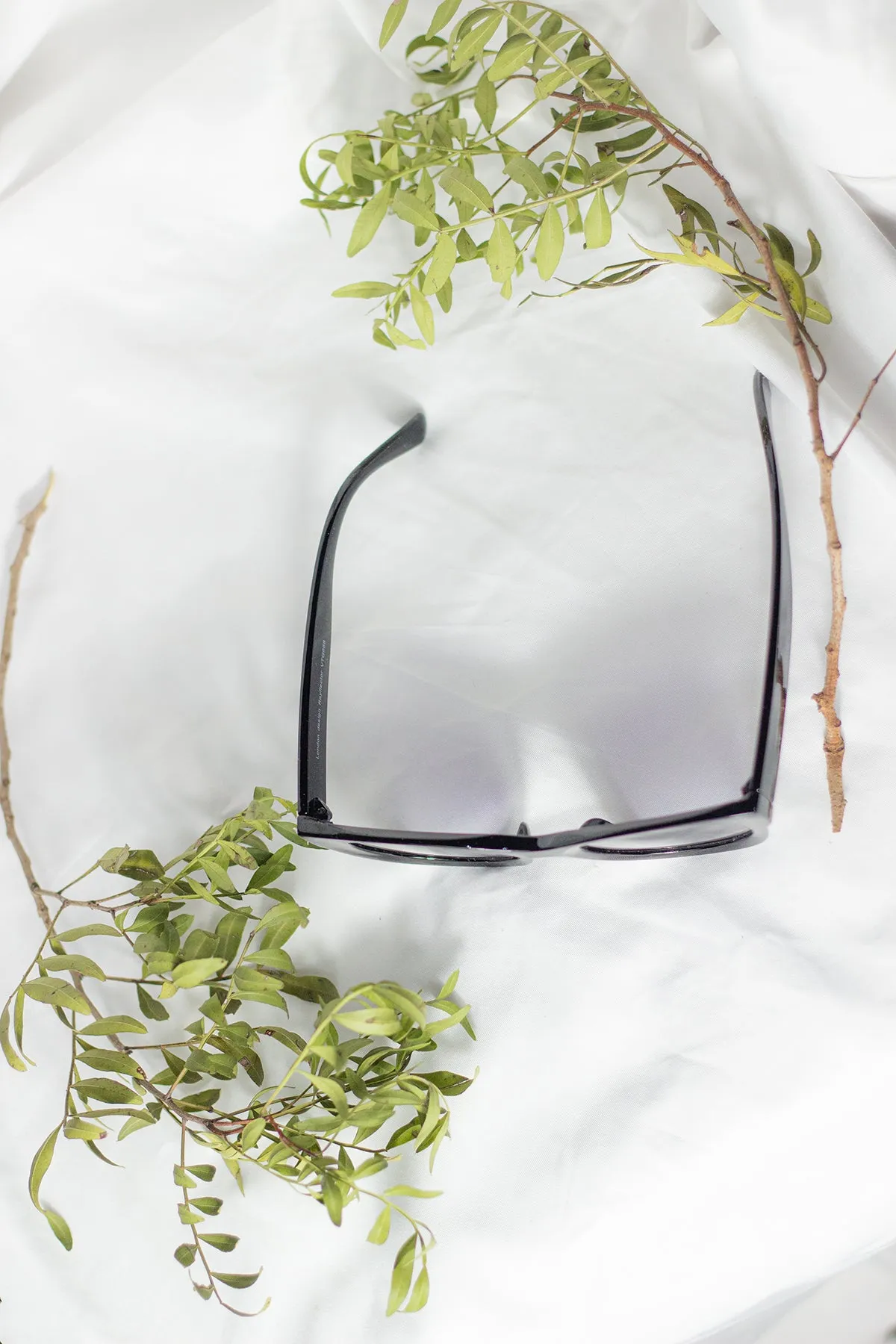 Rounded Top Cat Eye Dish Sunglasses