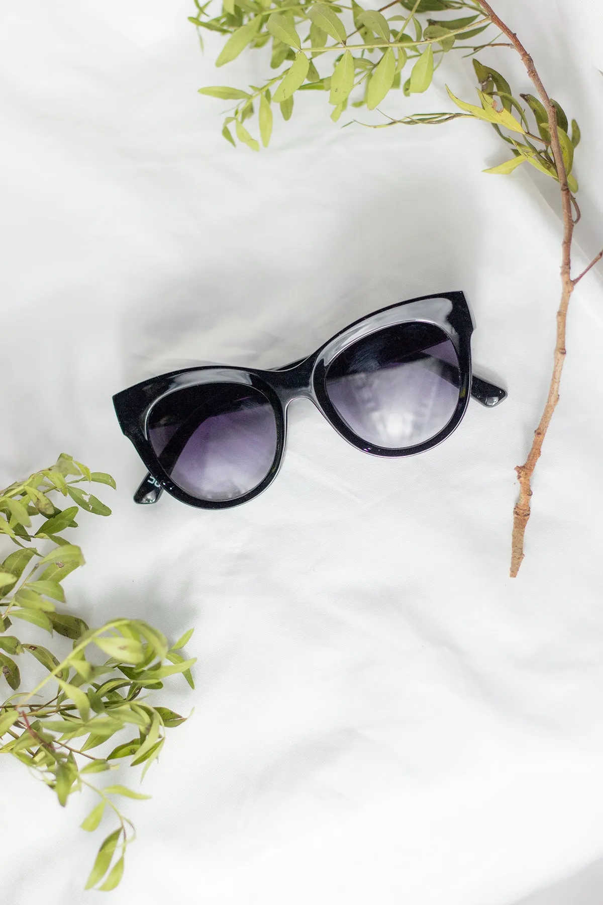 Rounded Top Cat Eye Dish Sunglasses