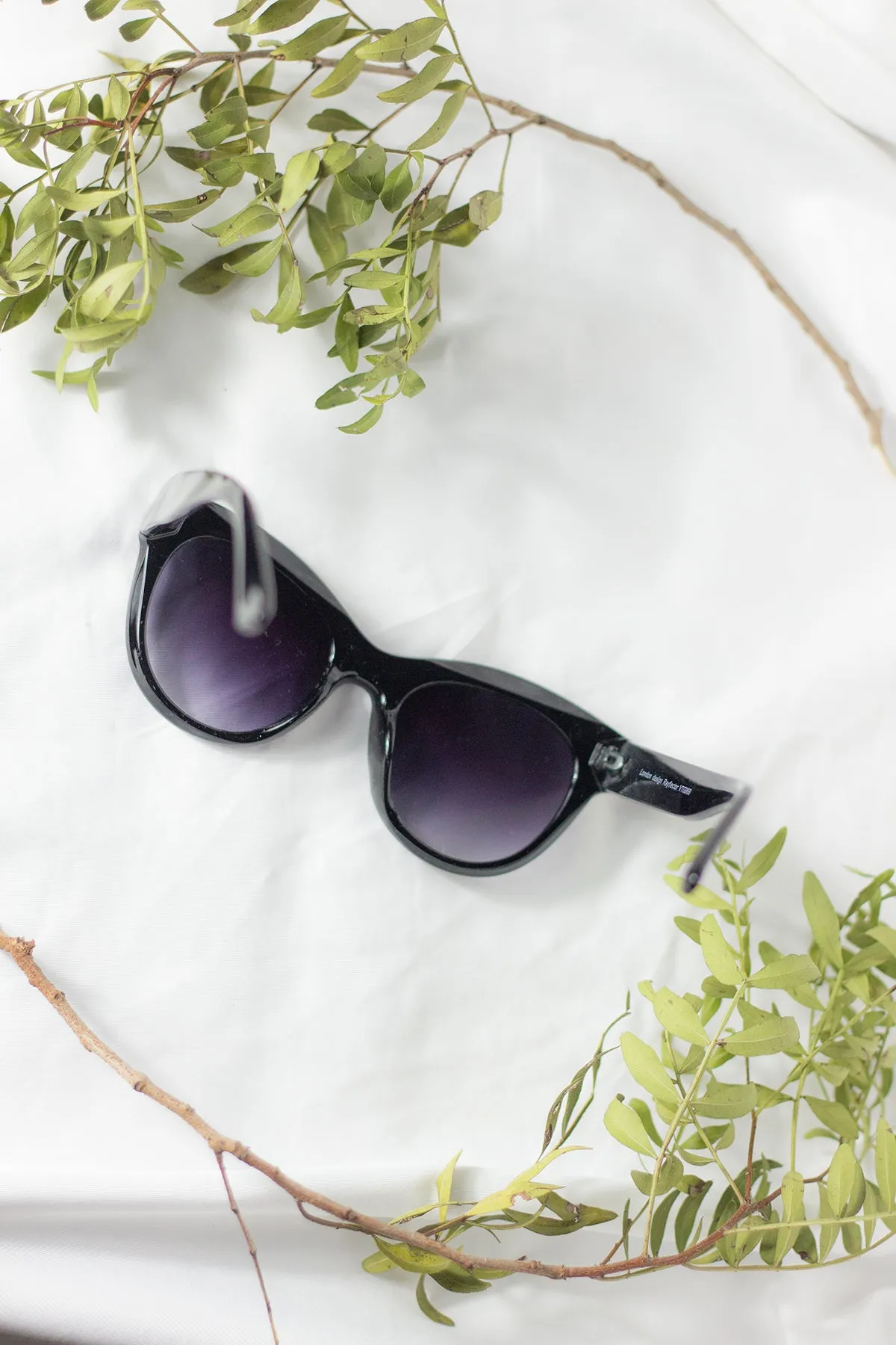 Rounded Top Cat Eye Dish Sunglasses