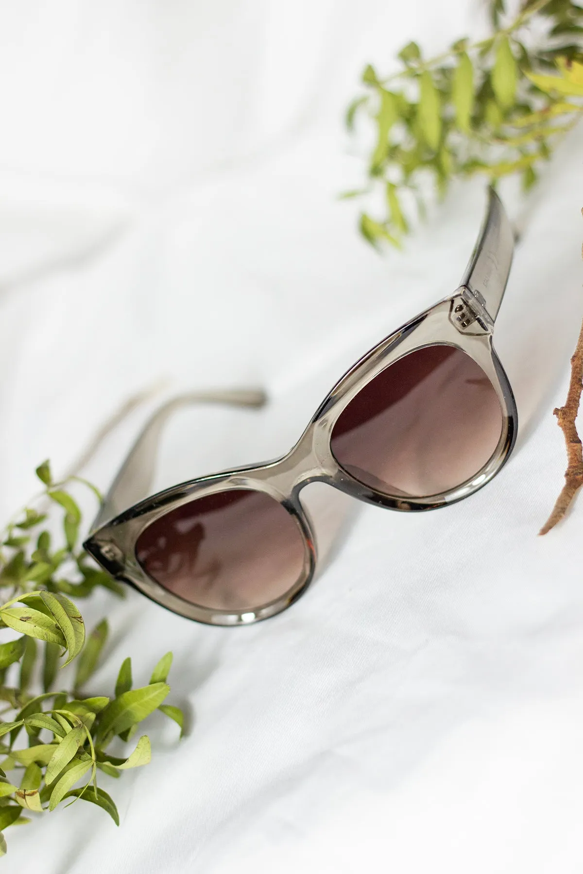 Rounded Top Cat Eye Dish Sunglasses