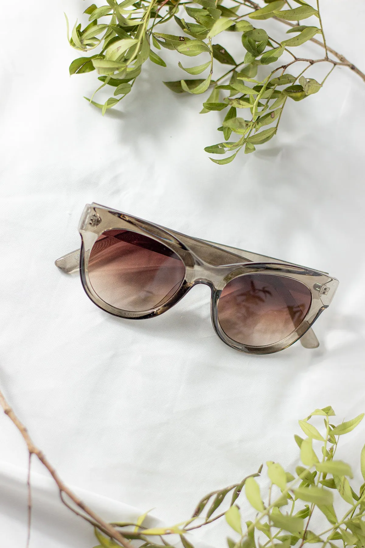 Rounded Top Cat Eye Dish Sunglasses