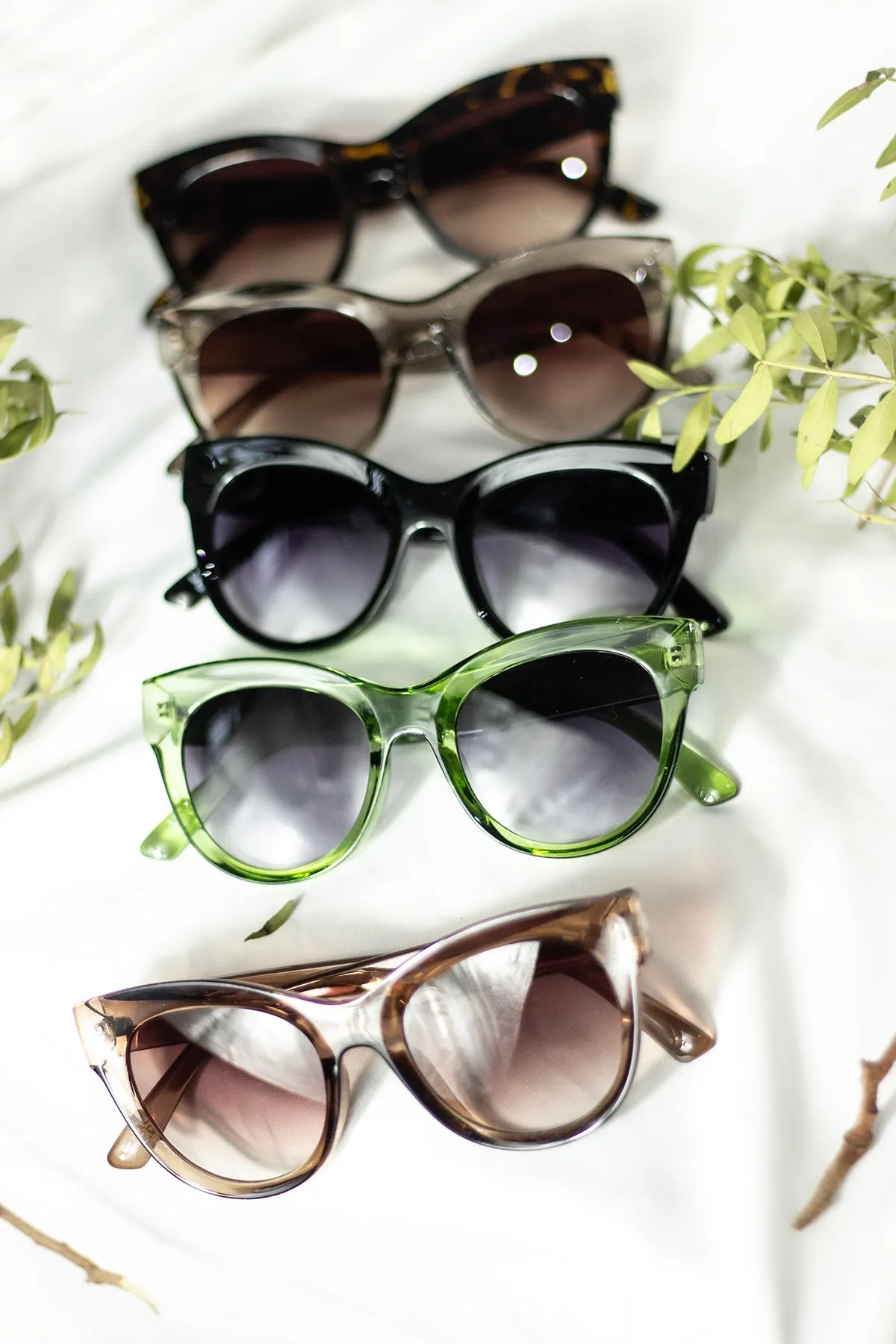 Rounded Top Cat Eye Dish Sunglasses