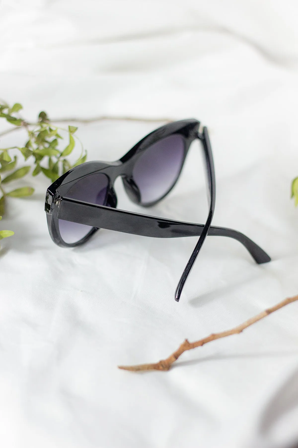 Rounded Top Cat Eye Dish Sunglasses