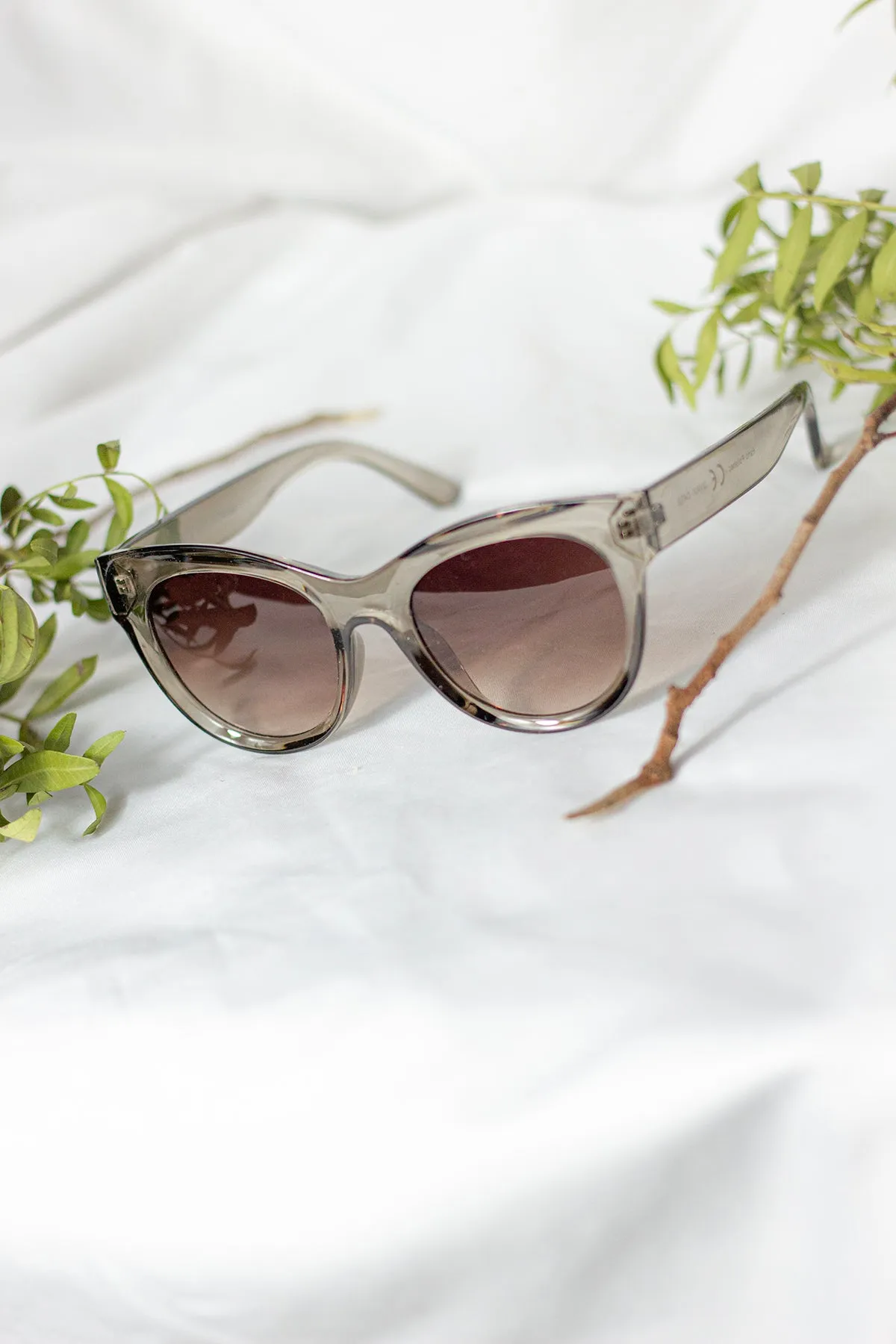 Rounded Top Cat Eye Dish Sunglasses