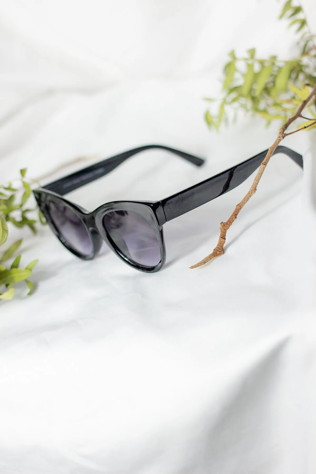 Rounded Top Cat Eye Dish Sunglasses