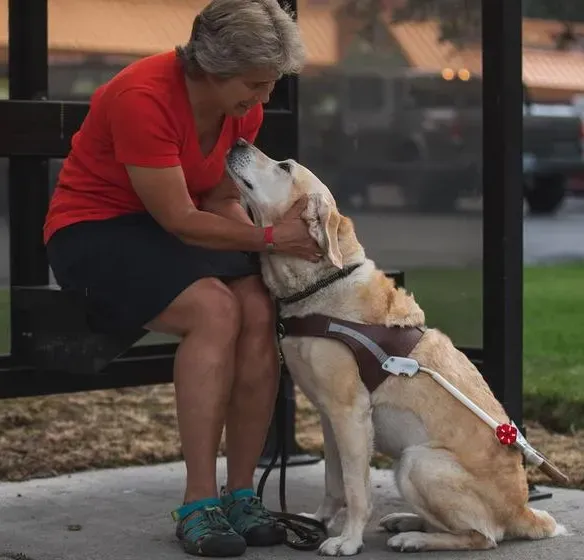 Ruffwear Audible Beacon™ Safety Light