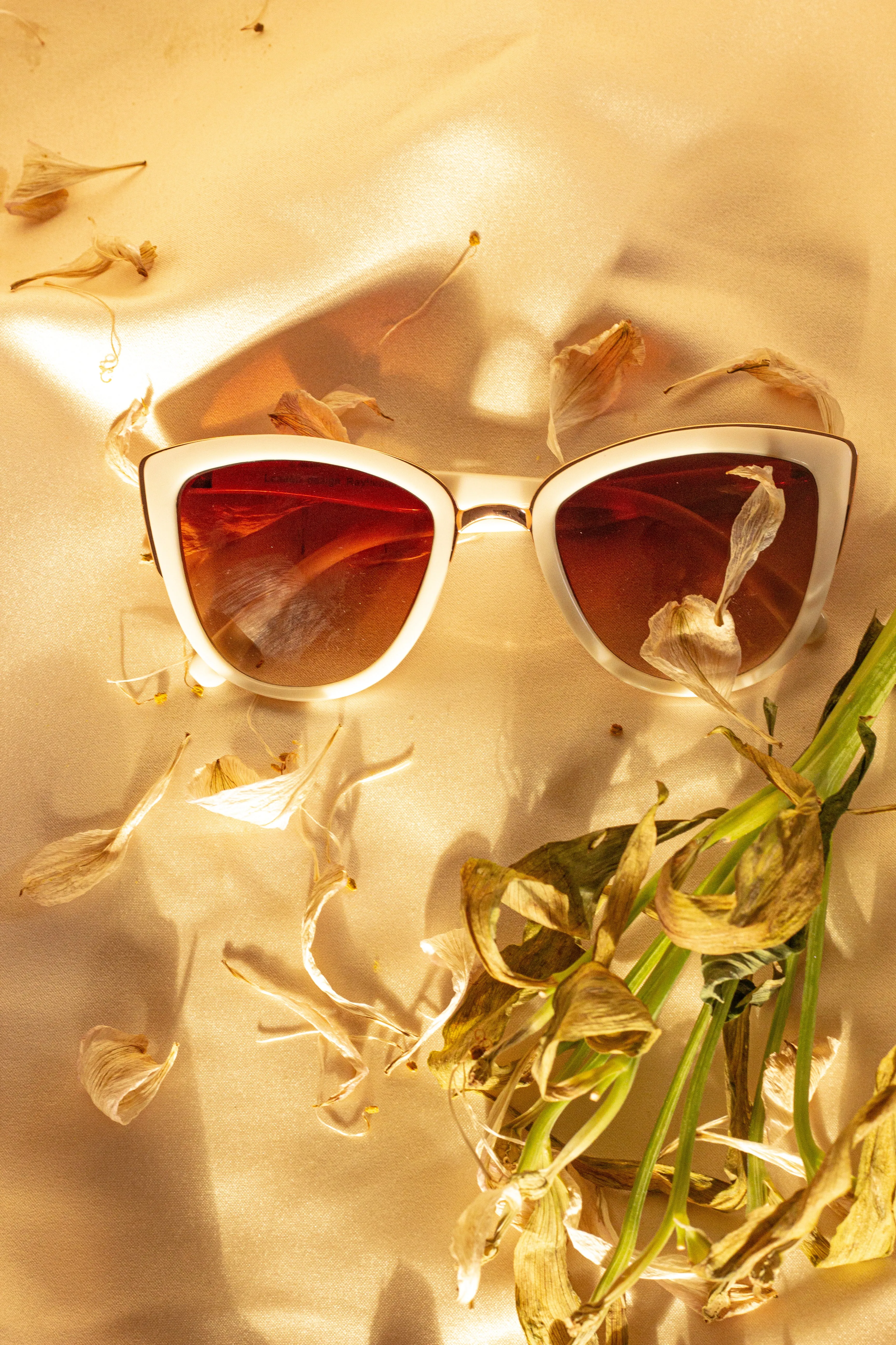 Supersize Cat Eye Sunglasses